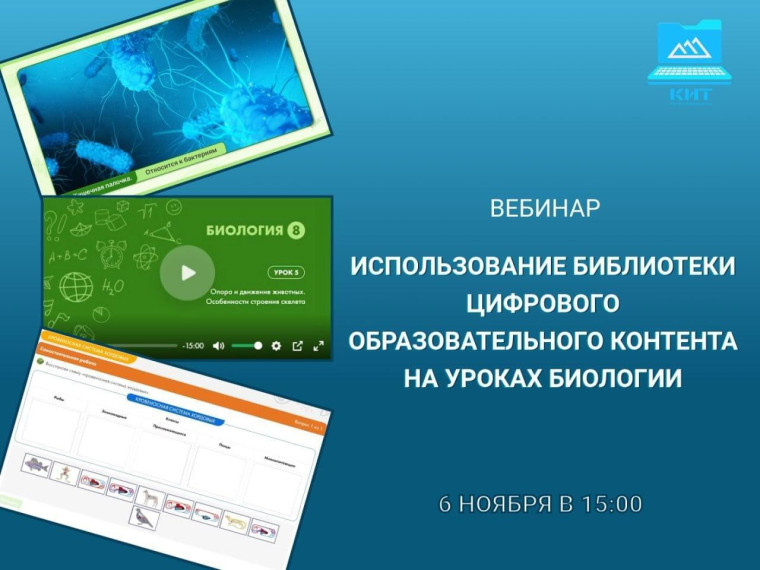 Образовательный вебинар Камчатского края (6 ноября).